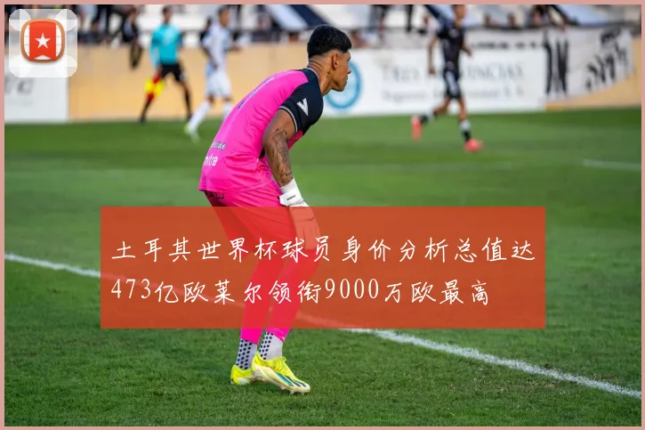 土耳其世界杯球员身价分析总值达473亿欧莱尔领衔9000万欧最高